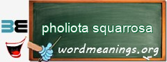 WordMeaning blackboard for pholiota squarrosa